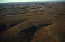 The limestone and shale sediments seen in the Flint Hills today show us a cross section of a landscape that looked much different long ago.