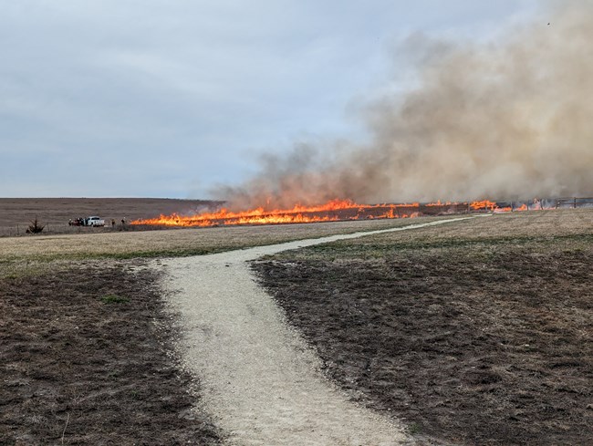 Fire fighters perform a controlled burn