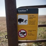 Electric fence sign warns visitors not to approach bison and not to touch the electrified fence.