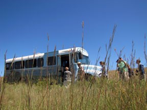 bus tour and tall grasses in the fall bus tour and tall grasses in the fall