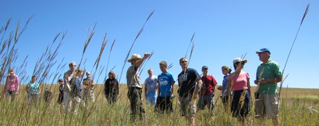 Ranger leads a tour in the tallgrass.