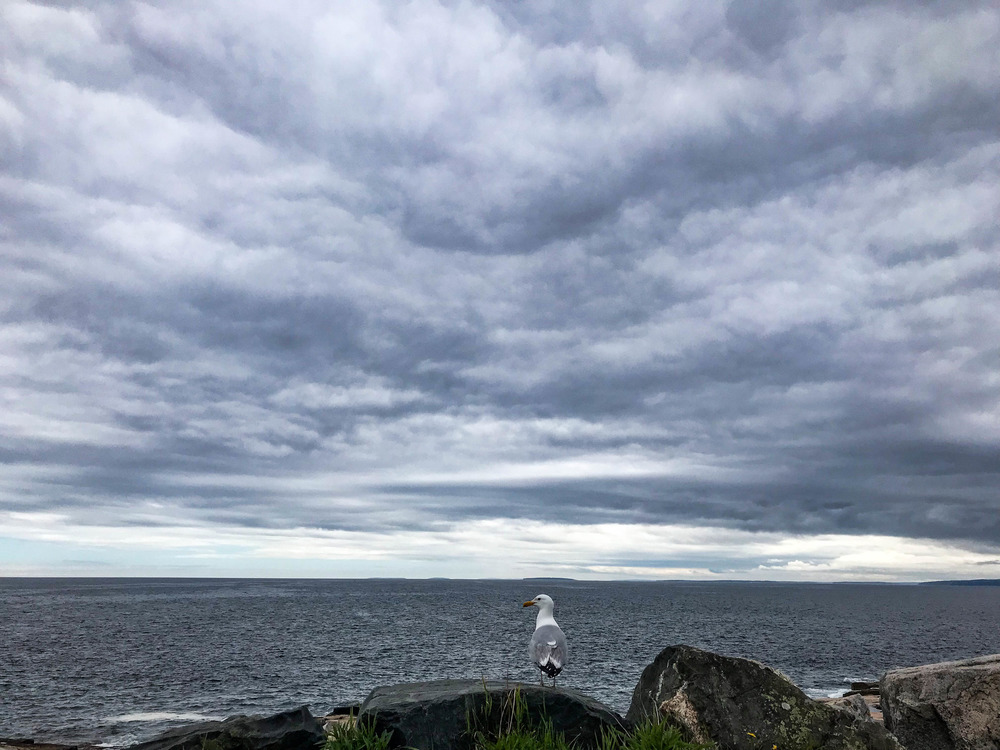 Distance Learning - Acadia National Park (U.S. National Park Service)