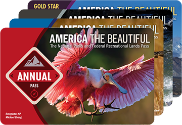 America the Beautiful Annual Pass