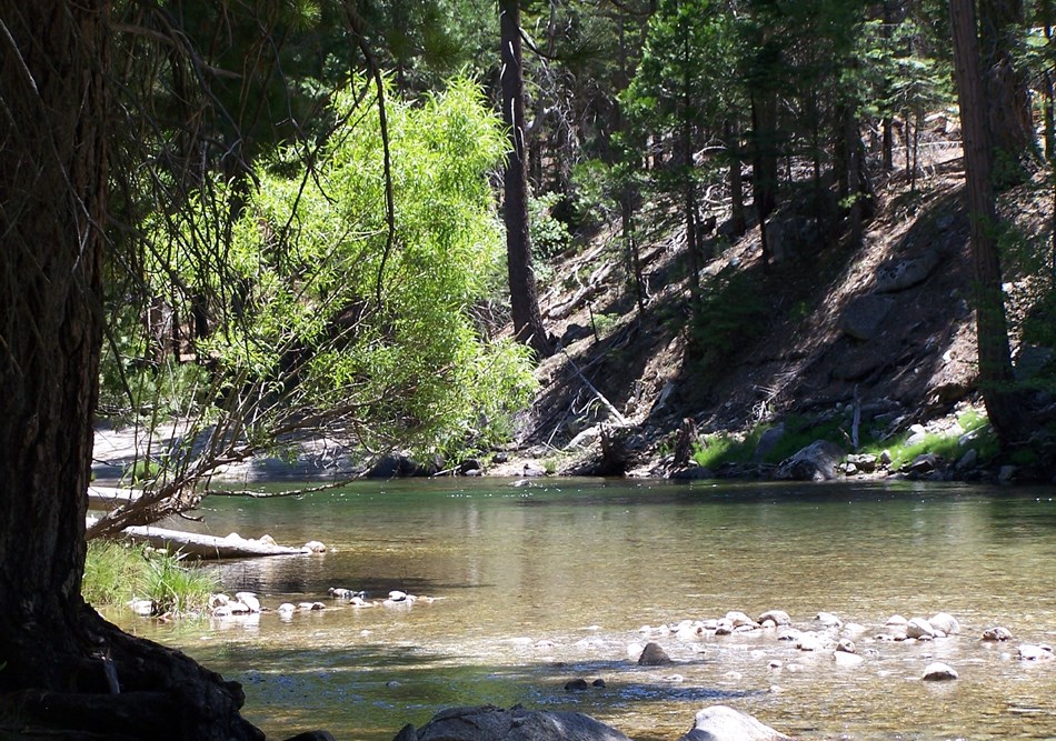 Explore along the Kings River Explore along the Kings River