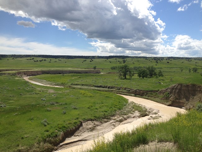 a milky brown river meanders through bright green prairie. a milky brown river meanders through bright green prairie.