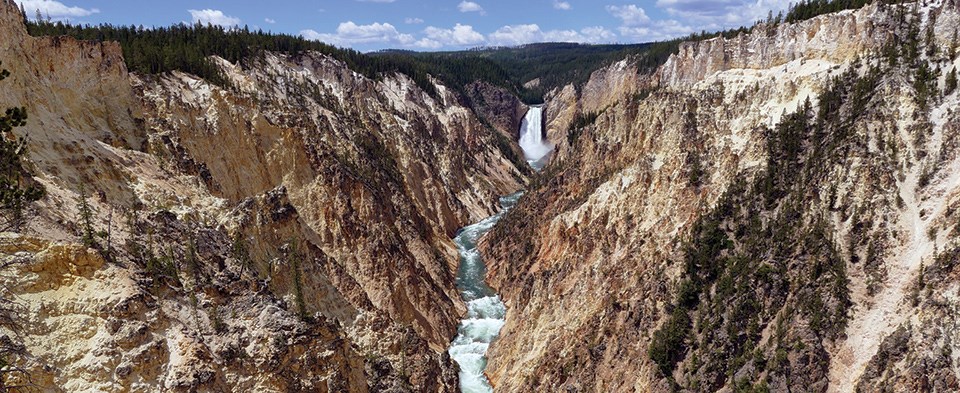 Artist Point view of Lower Falls View of Lower Falls and the yellow canyon walls.