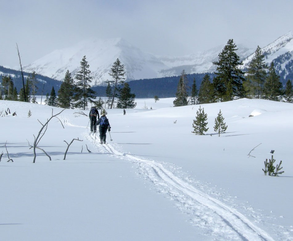 Two skiers make their way through deep snow on the Bighorn Loop Ski Trail. Two skiers make their way through deep snow on the Bighorn Loop Ski Trail.