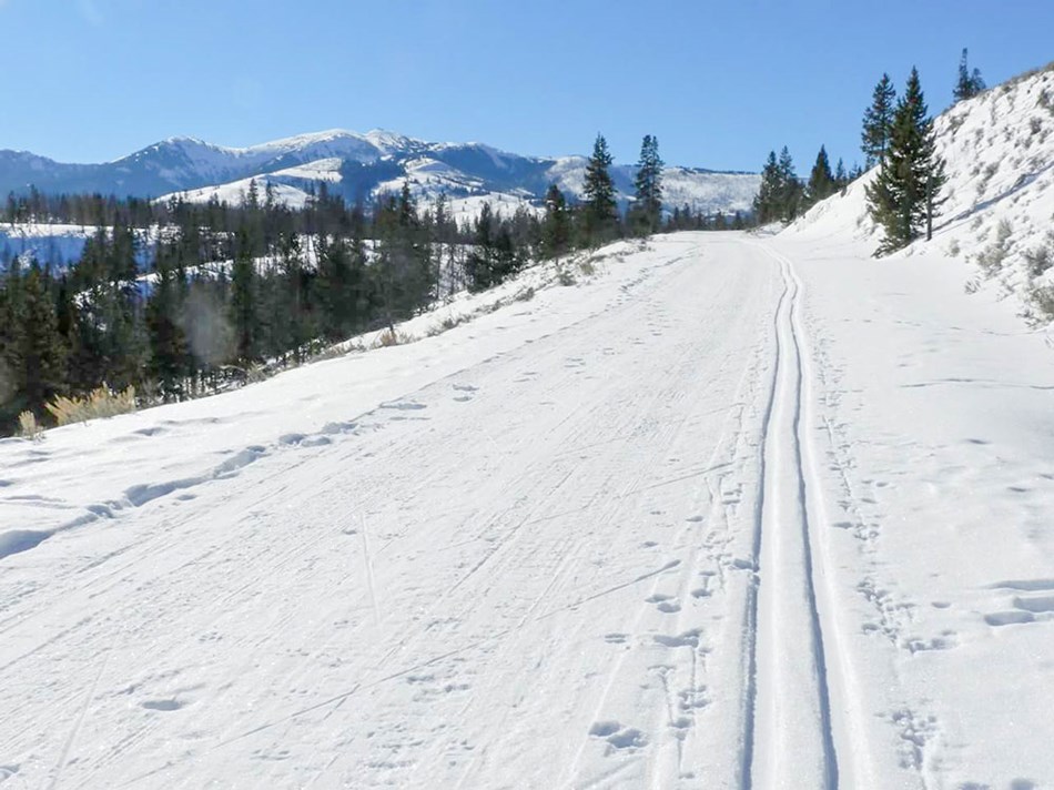 Mountains can be seen in the distance from the Chittenden Loop Ski Trail. Mountains can be seen in the distance from the Chittenden Loop Ski Trail.