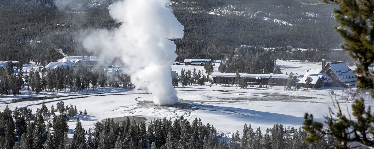 Old Faithful Geyser erupting steam and water high into the air on a snowy day.