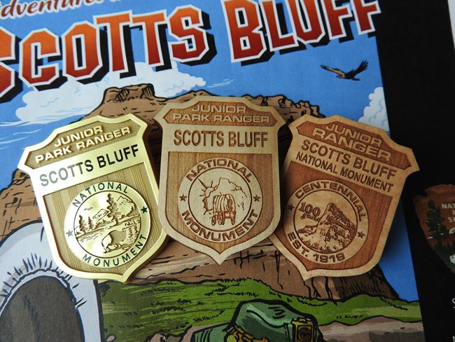 Three junior ranger badges rest on top of a Junior Ranger activity book.