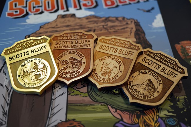 Four badges, one of gold plastic, the other three of wood, rest on a colorful booklet.