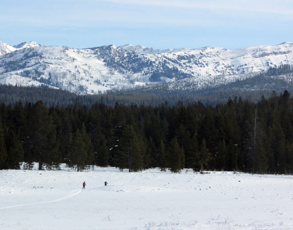 Two skiers ski toward a forested section of the Fawn Pass Ski Trail. Two skiers ski toward a forested section of the Fawn Pass Ski Trail.