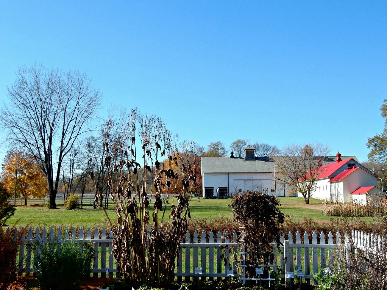watervliet shakers looking from a fenced in herb garden towards a large white barn