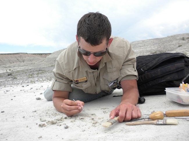 paleontologist uses a brush and a small pick to excavate a fossil