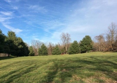 Rohrbach Campground Photo Rohrbach Campground Photo
