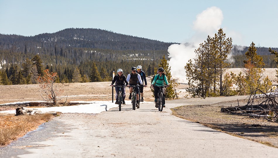 A group of four cyclists ride down a path with a geyser steaming in the background. A group of four cyclists ride down a path with a geyser steaming in the background.