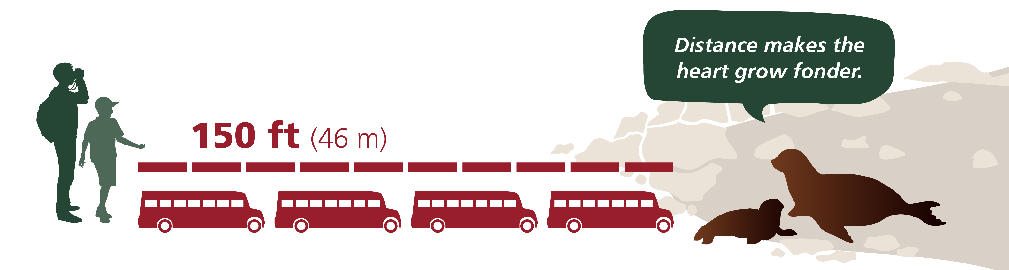 Silhouettes of people separated from silhouettes of seals by four school buses, 150 feet or 246 meters. Seal speech bubble says "Distance makes the heart grow fonder."