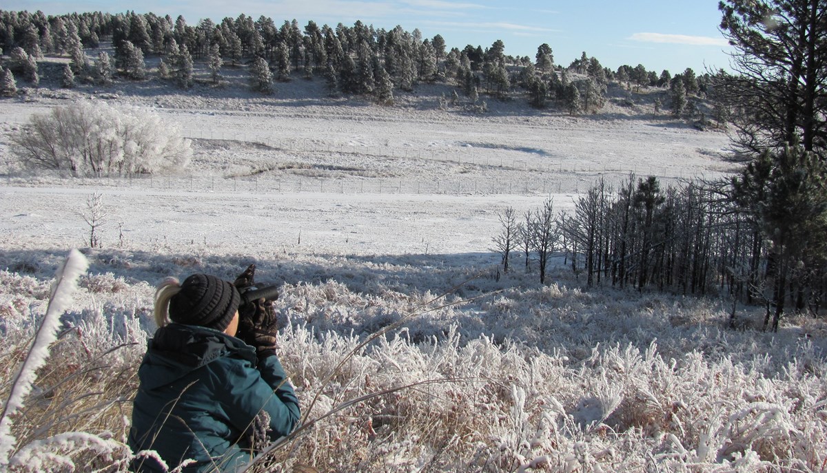 a woman in a winter coat crouching in the snowy prairie looking through binoculars at a wintry landscape