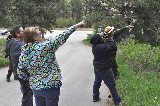 a group of visitors with binoculars and two park rangers pointing and looking at something off camera in a tree