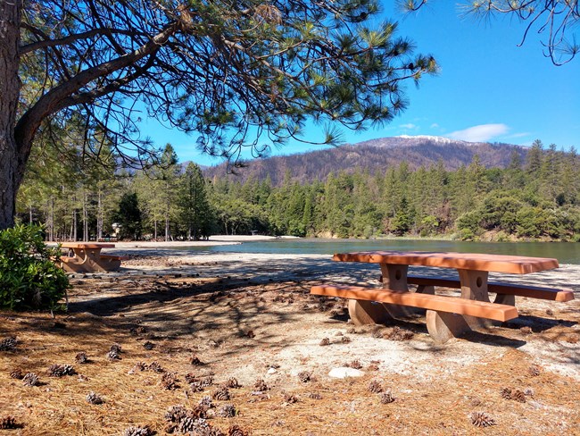 Photo of Brandy Creek Beach Area