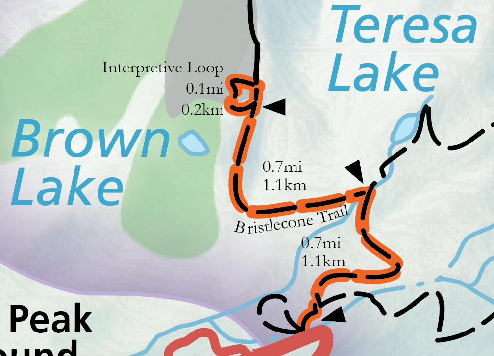 Bristlecone Trail Highlight A color image of a selection of the official park map. A grey road emerges from the top and connects to an orange highlighted trail labeled "Bristlecone Trail."