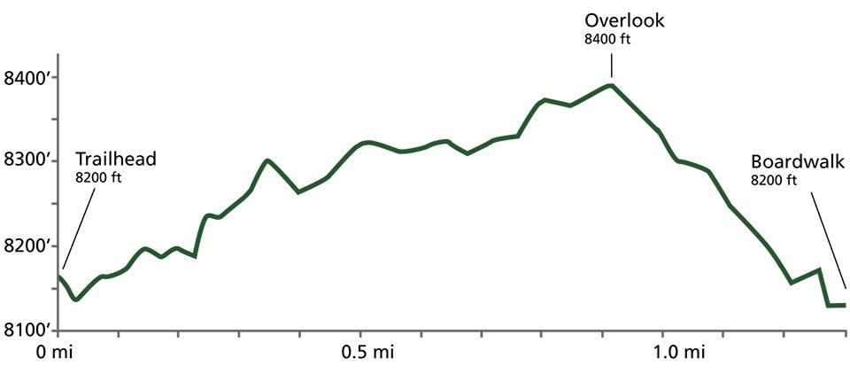 A line chart showing trail elevation over distance. The line rises jaggedly to an overlook and then drops quickly to a boardwalk.