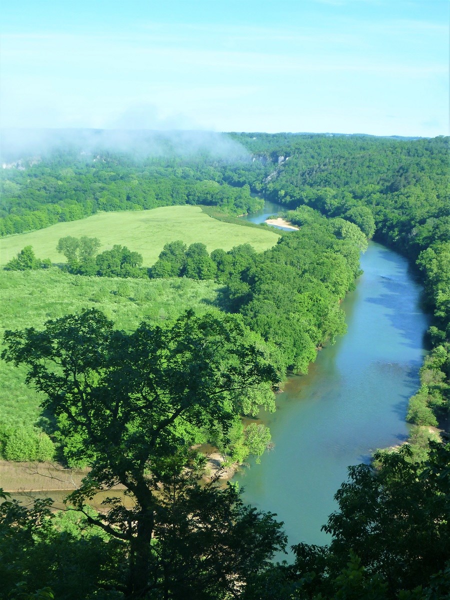 view of turquoise colored river with forests and fields on either side