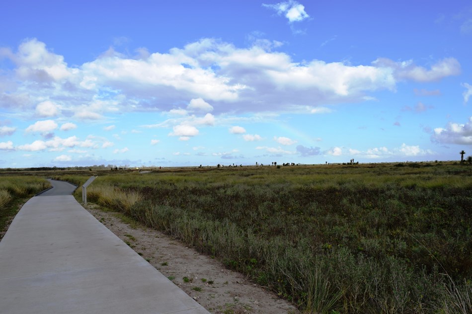 Paved trail leading onto the green coastal prairie Paved trail leading onto the green coastal prairie