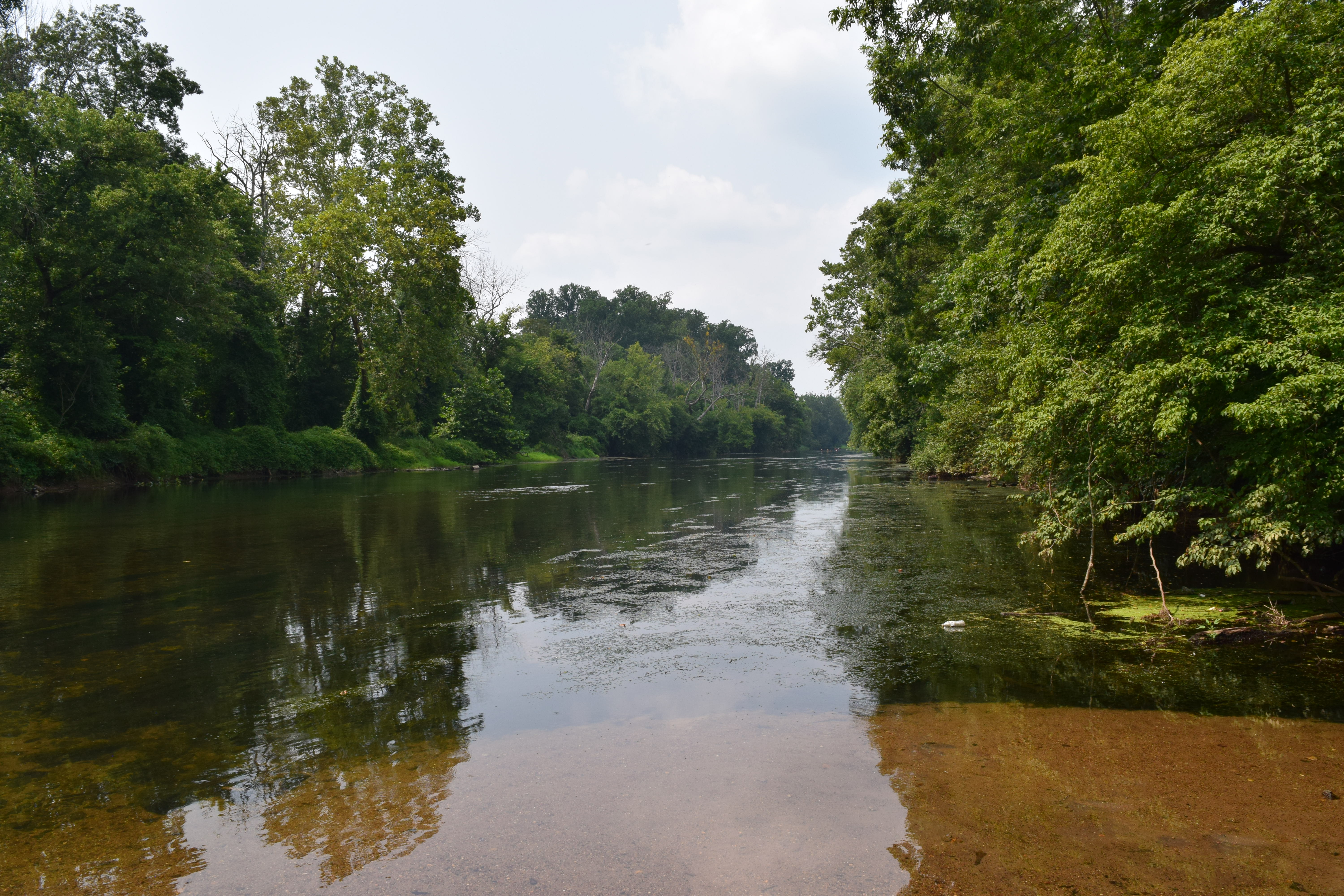 A creek winds through a forest on a beautiful summer day. Lush vegetation surrounds the river, which reflects the blue sky.