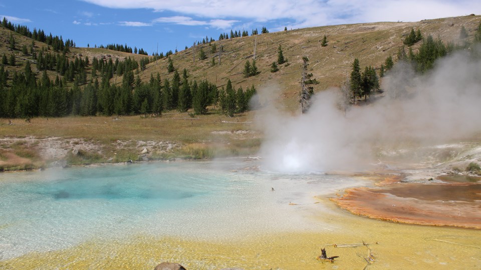 Steam rises from a blue- and orange-colored hot spring.