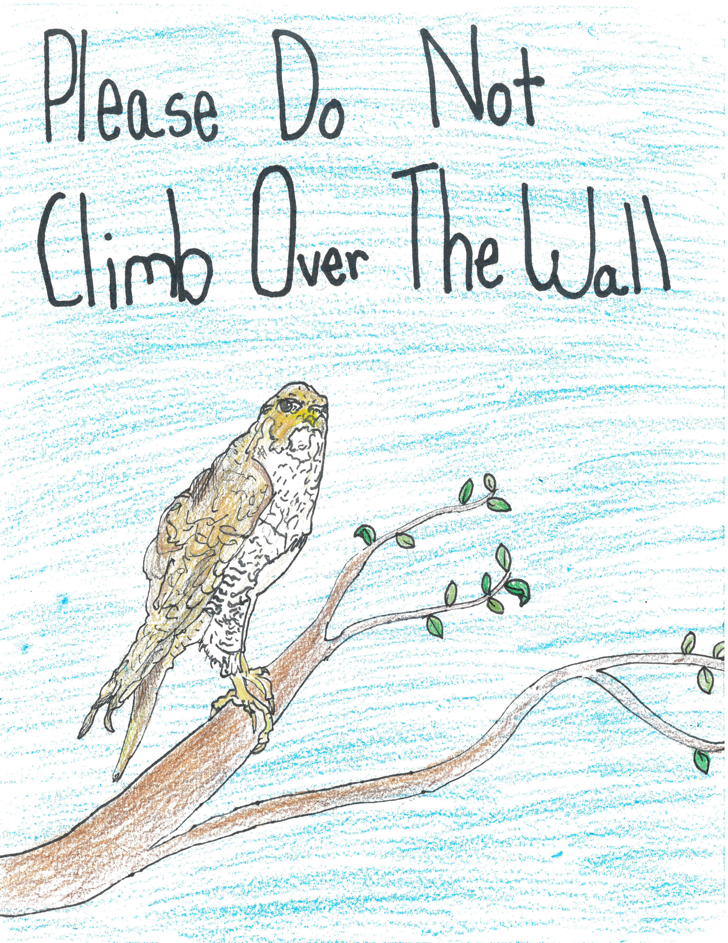 Falcon Artwork Brevard Middle School-4 A drawing of a peregrine falcon with text that says "please do not climb over the wall"