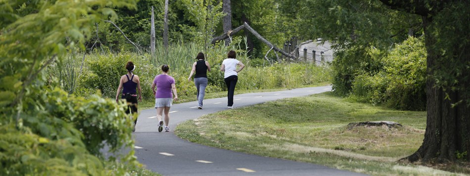Four women walking in a wooded section of Mount Vernon Trail. Four women walking in a wooded section of Mount Vernon Trail.