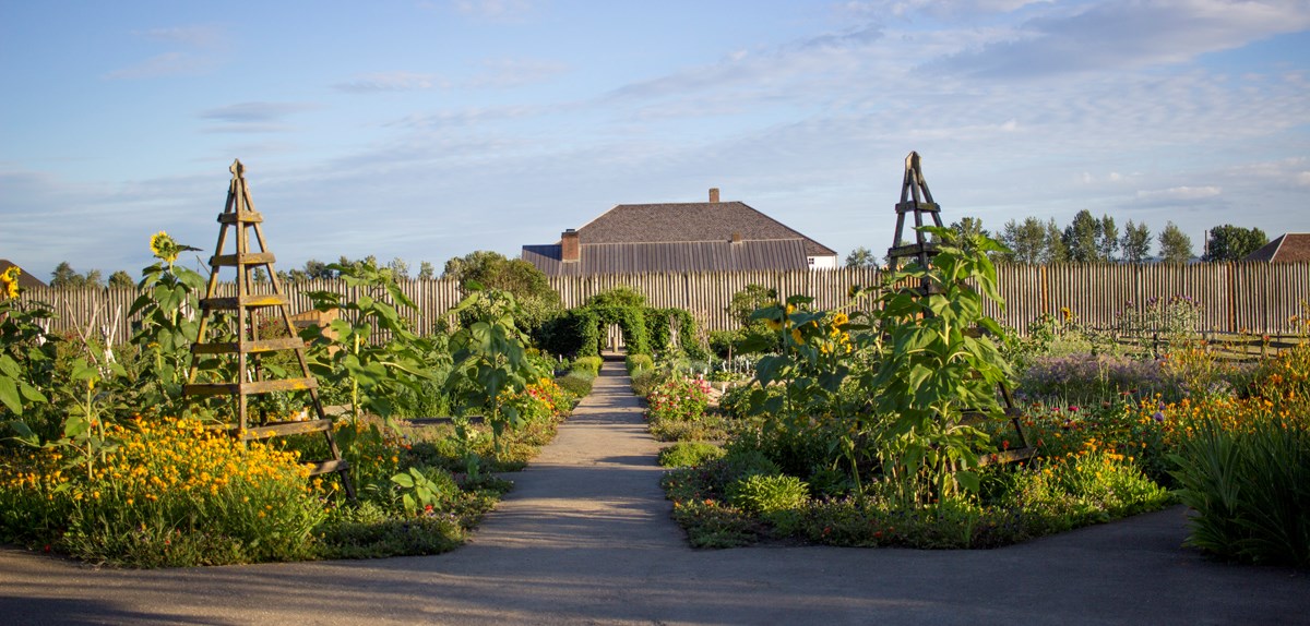 A view of Fort Vancouver through the fort's garden A view of Fort Vancouver through the fort's garden