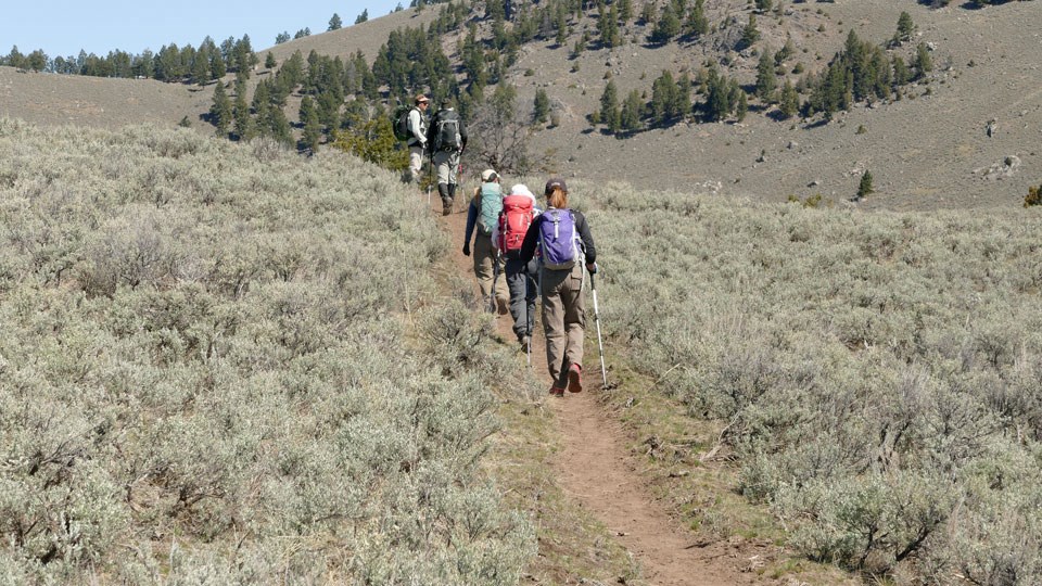 Hikers along the tan bare ground trail leading through a sagebrush meadow.