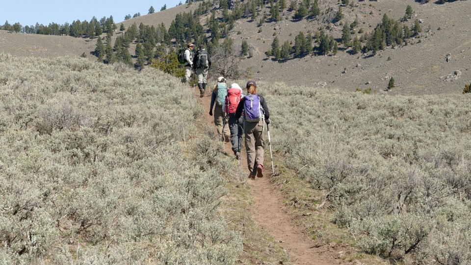 Hikers along Garnet Hill Trail Hikers along the tan bare ground trail leading through a sagebrush meadow.