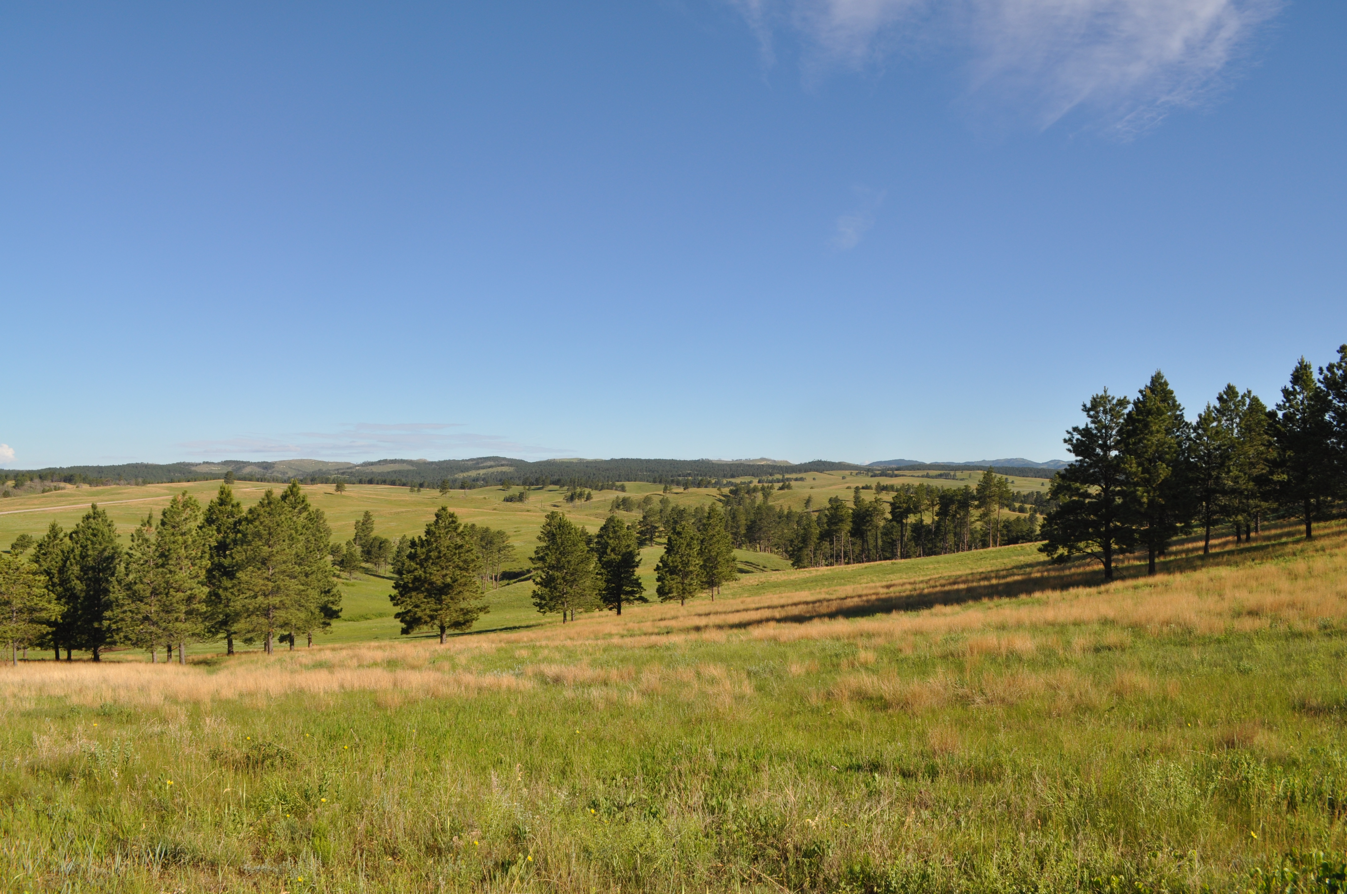 Wind Cave National Pak South Dakota: 1st Time Visito Guide