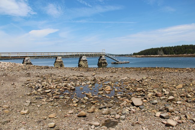 Pier during low tide at Frazer Point