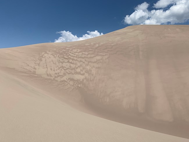 Top of a dune with blue sky above