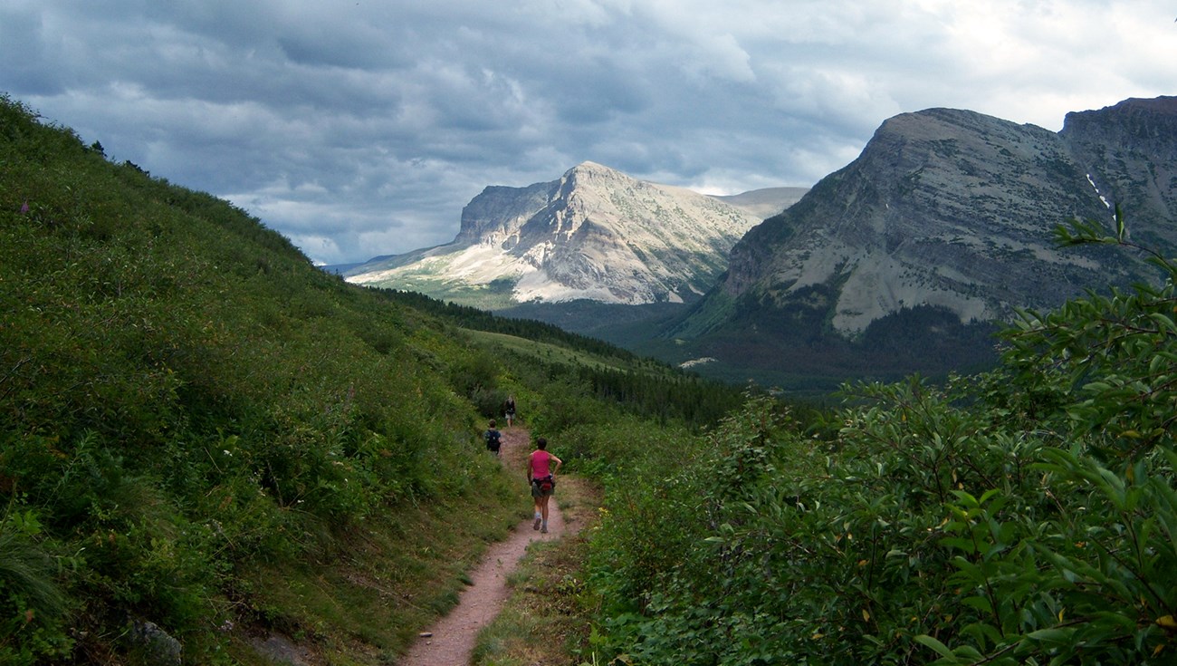 Hikers on trail are dwarfed by lush vegetation and mountain landscape