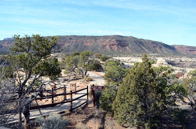 sidewalk path to Kachina Bridge Viewpoint with trees