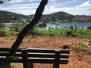 Lind Point Overlook