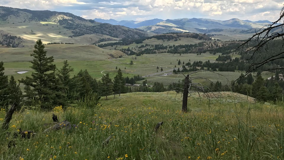 Tower Junction from Lost Lake Trail Valley surrounded by mountains from the top of a hill.