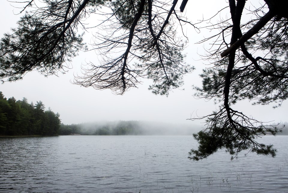 view of pond with fog rolling in