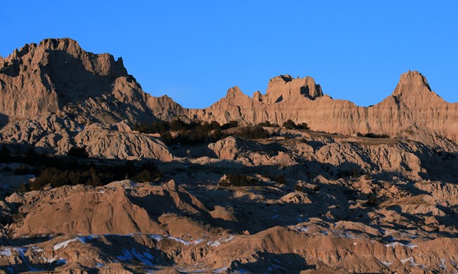 dark plants take root in a large pile of debris crumbling down the side of a jagged badlands formation. dark plants take root in a large pile of debris crumbling down the side of a jagged badlands formation.