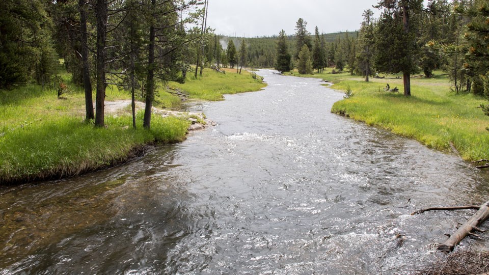 Firehole River from Mallard Lake Trail Firehole River with conifer forest on both banks and steam rising from distant hydrothermal features.