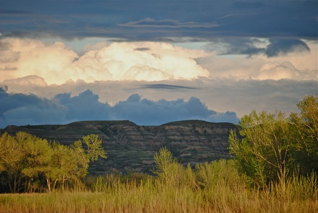Lush green prairie grass and cottonwood trees in foreground with buttes and sky in background.