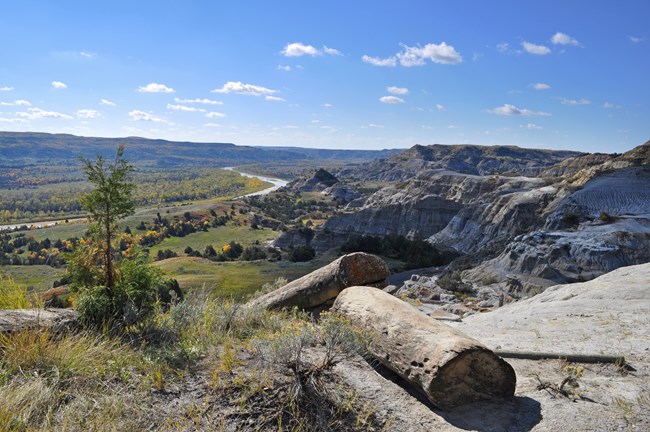 Geologic log formations on cliff that overlooks a view of the Badlands.