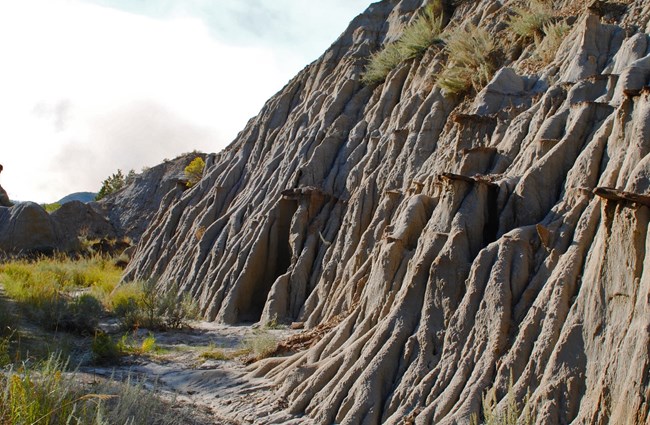 Rugged butte with mini caprocks and sages growing on top and at base.