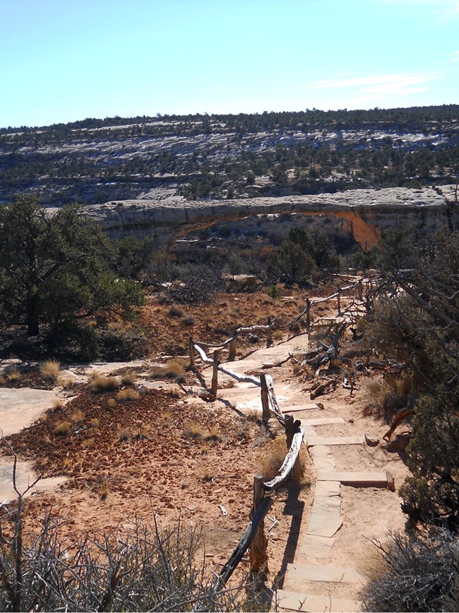 wooden steps on trail to Owachomo Bridge