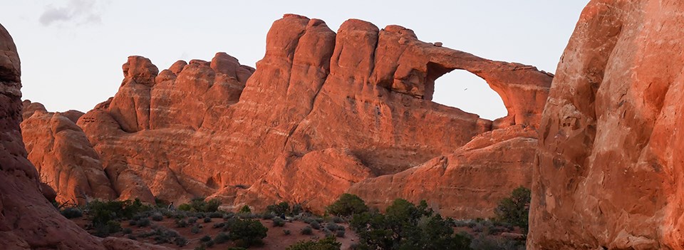 Skyline Arch an arch in a high wall glows orange in late afternoon
